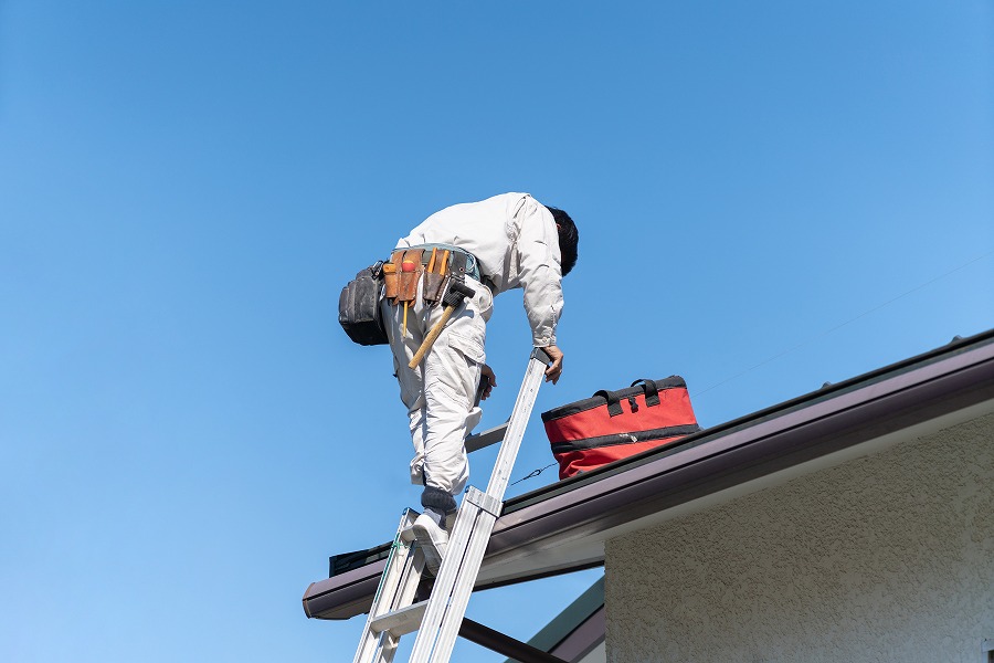 AdobeStock_230342648
